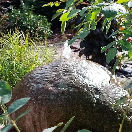 Eifeleben Mit Wunderschoenem Garten By Interhome * Bad Muenstereifel